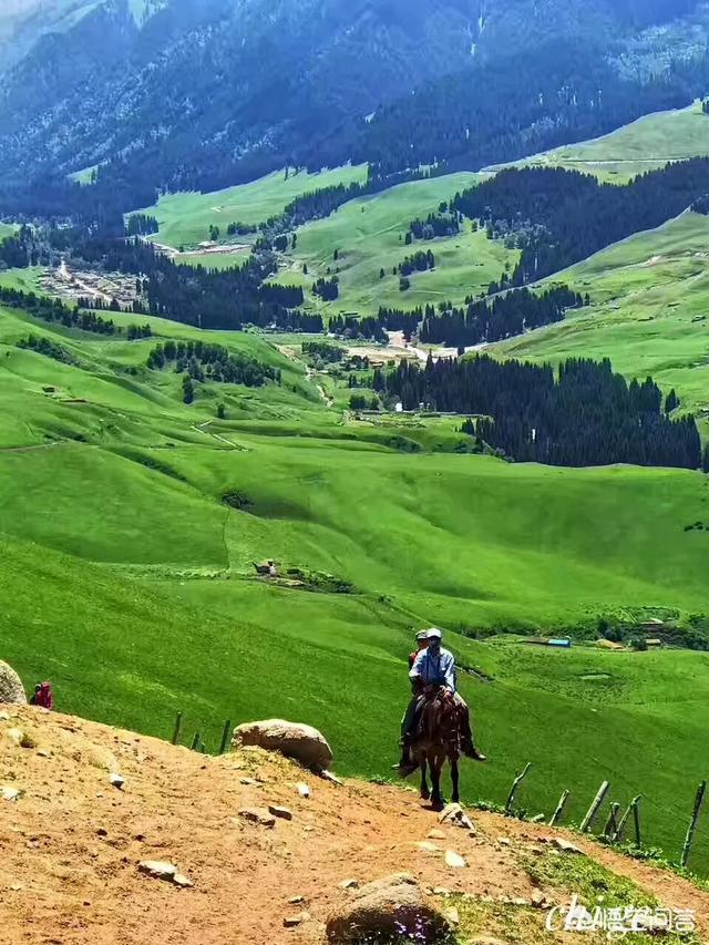 八月北疆自驾,也想走独库公路,想看雪山,能见到吗?