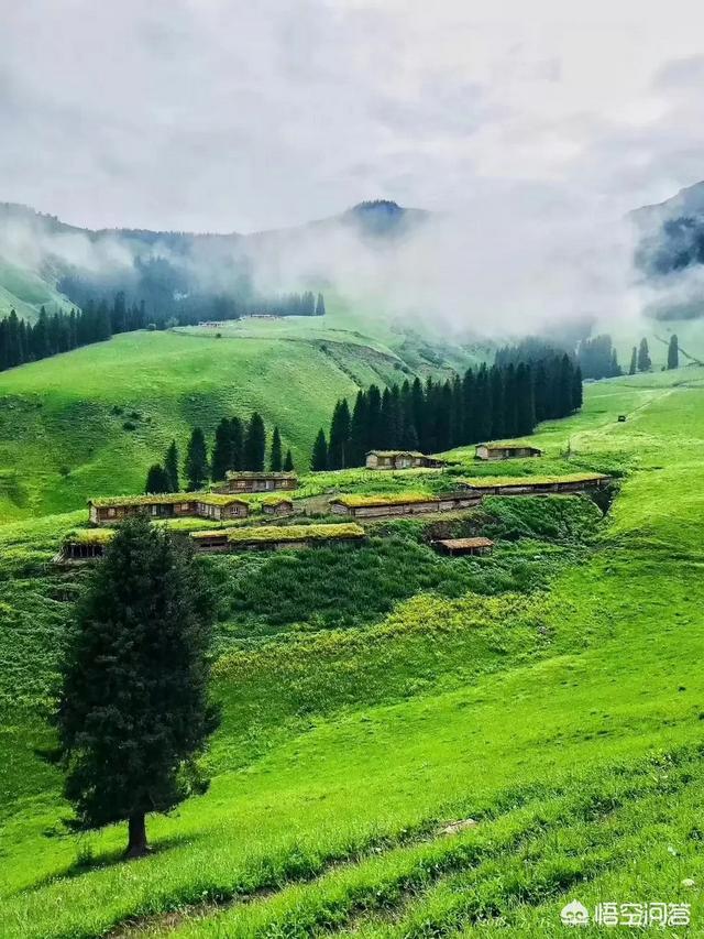 八月北疆自驾,也想走独库公路,想看雪山,能见到吗?