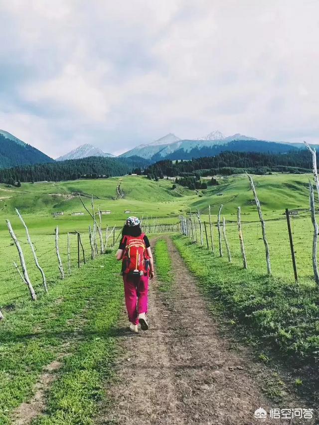 八月北疆自驾,也想走独库公路,想看雪山,能见到吗?