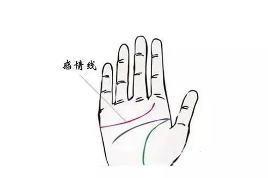 感情线断开代表什么意思? 手相感情线断了