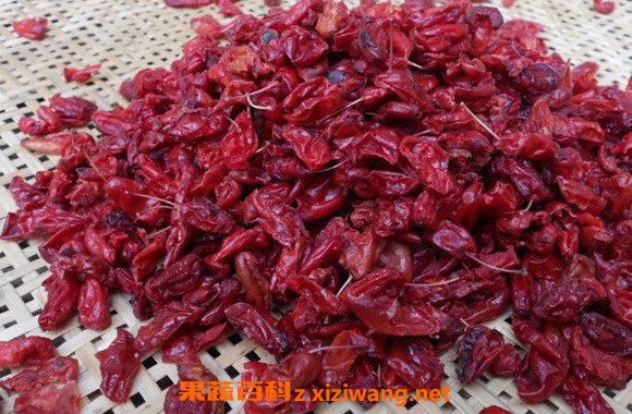 干红枣皮的功效与作用 干红枣皮的药用价值
