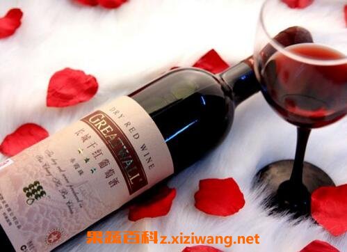 干红葡萄酒怎么喝 干红葡萄酒的喝法技巧