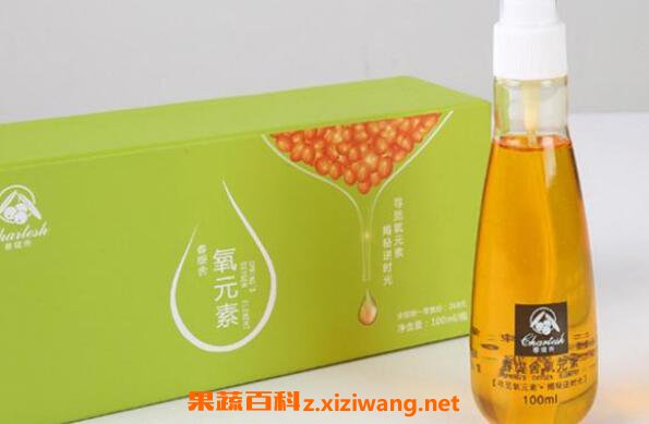 小春沙棘的功效与作用 吃小春沙棘的好处