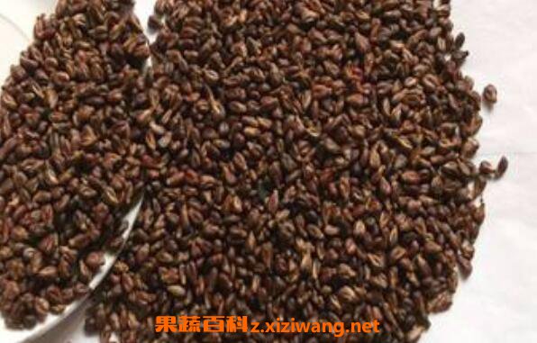 葡萄籽的功效與作用 吃葡萄籽的好處