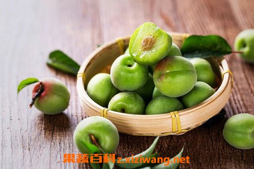 青梅醬的功效與作用 青梅醬的正宗做法