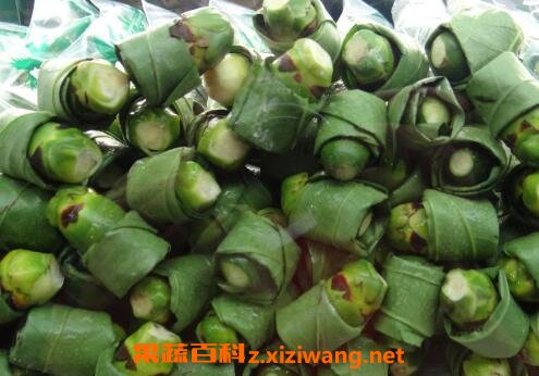 槟榔有什么作用 槟榔的危害