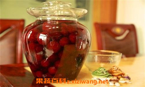 杨梅泡酒的功效与作用 喝杨梅泡酒的好处