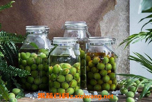 青梅汁怎么做 青梅汁的家常做法教程