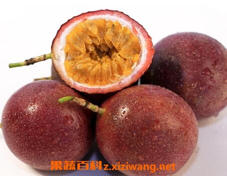 白香果皮泡水喝的功效與用處