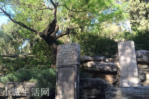 崇祯皇帝吊死的歪脖树在景山哪里