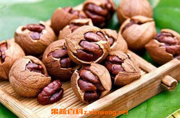 山核桃泡酒的功效与作用 山核桃泡酒都治什么病