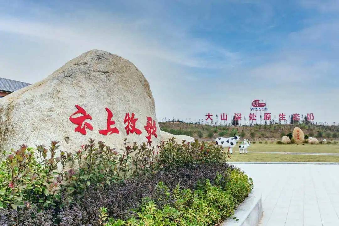 明一天籁牧羊羊奶粉怎么样 明一奶粉怎么样