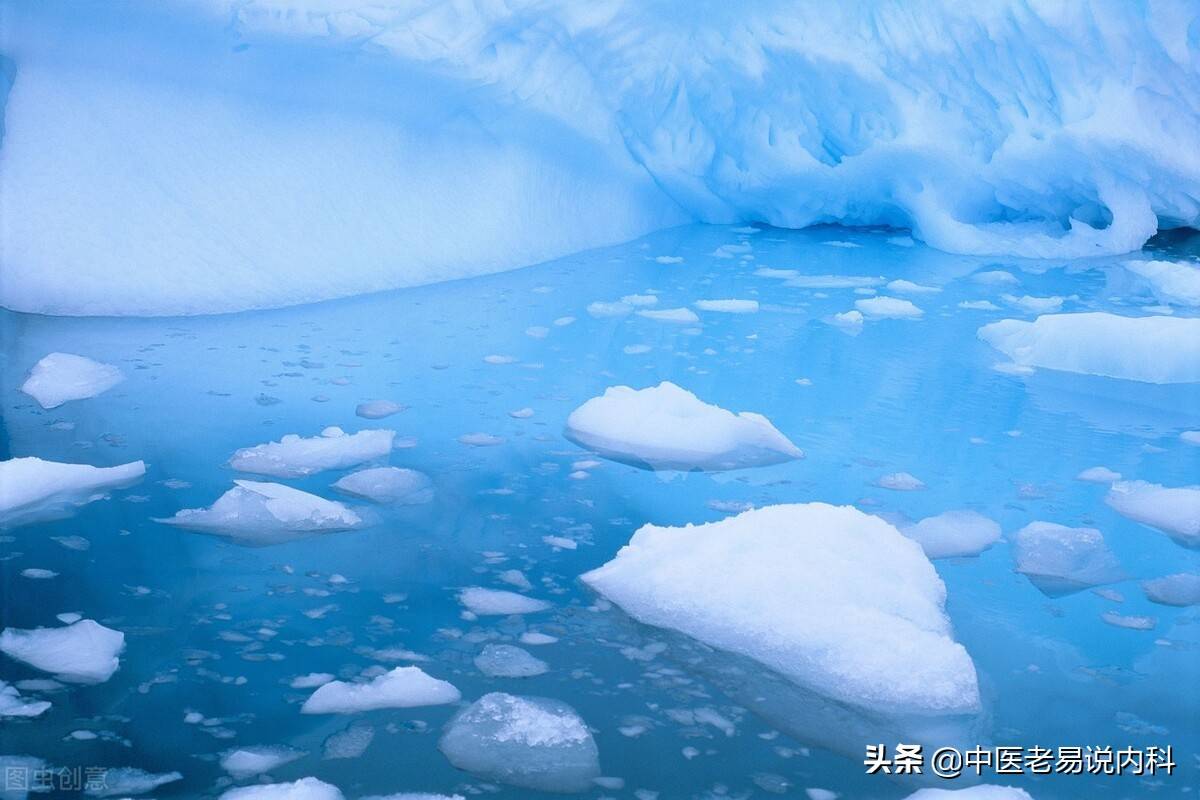 如何补肾亏 肾虚怎么补