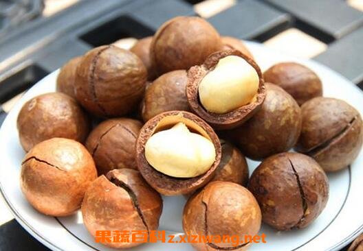 夏威夷果的营养价值 吃夏威夷果的好处