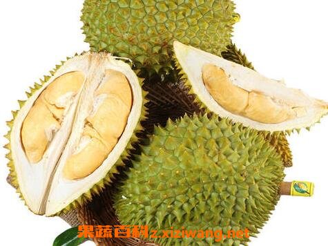 榴莲怎么吃 榴莲如何做好吃