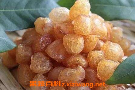 分享龙眼肉的功效与作用 吃龙眼肉的好处有哪些