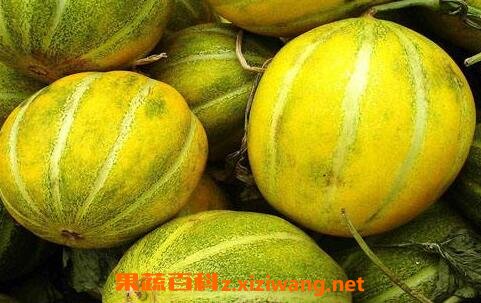 香瓜的功效与作用 吃香瓜有哪些好处