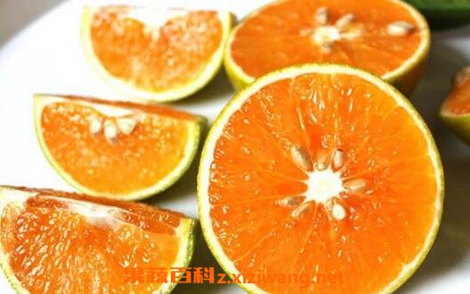 绿橙怎么挑选 挑选绿橙的方法技巧
