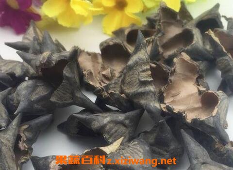 干菱角壳的功效与作用及药用价值