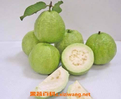 芭乐番石榴怎么吃图解 芭乐番石榴怎么保存