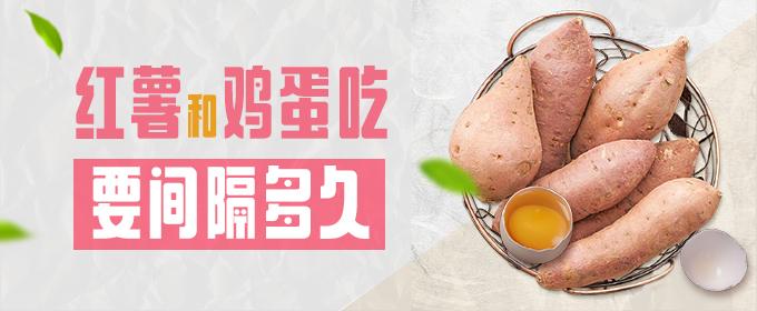 坚持吃一个月红薯能瘦身吗 红薯和鸡蛋吃要间隔多久