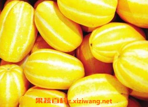 金密瓜的功效与作用