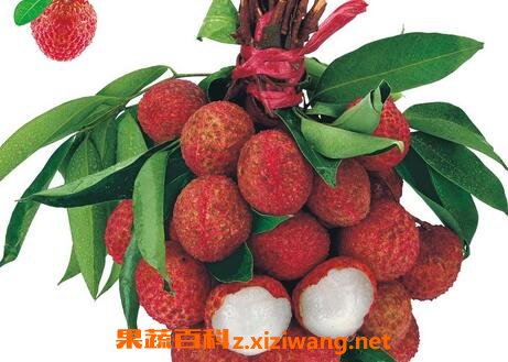 为什么吃荔枝会上火 吃荔枝上火的原因