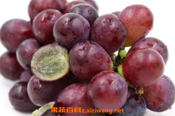 无籽葡萄怎么来的 无籽葡萄对身体有害吗