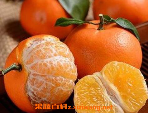 沃柑和皇帝柑的區(qū)別 皇帝柑好還是沃柑好吃