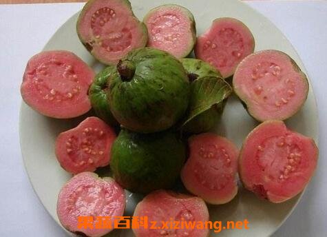 土芭乐是什么水果 土芭乐的功效和作用