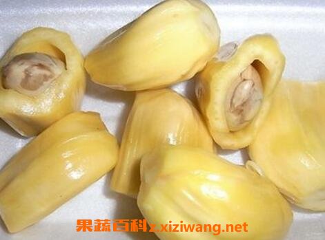 菠萝蜜核怎么吃最有营养 菠萝蜜核的营养价值