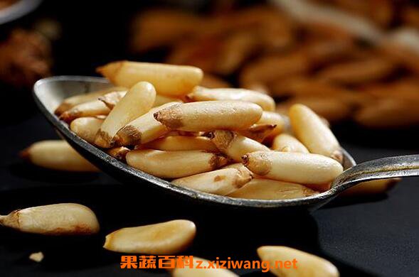 手剥松子的功效与作用 吃手剥松子的好处