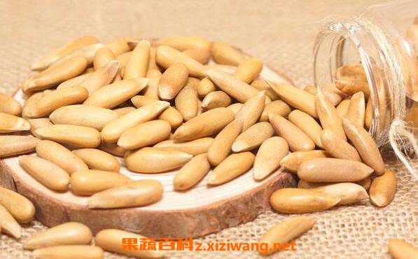 手剥松子的功效与作用 吃手剥松子的好处