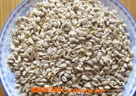 白酒泡橘子籽的作用和功效