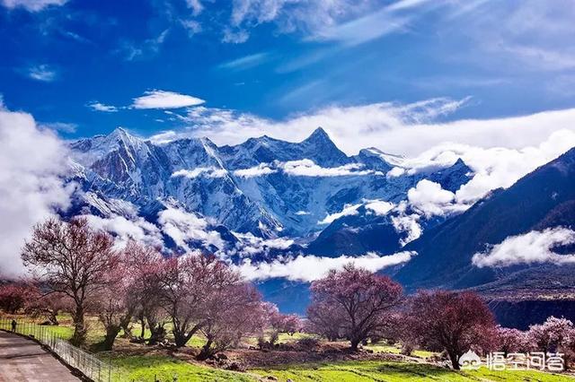 做过心脏支架的人,能不能自驾去西藏旅游呢?