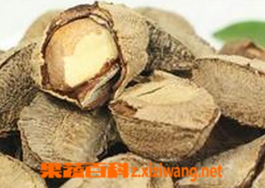 鲍鱼果的营养价值与功效