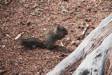 推荐一下拉萨附近还有那些值得去的景点？