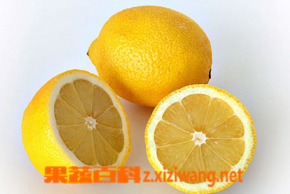 鲜柠檬片泡水的功效 鲜柠檬片泡水喝有什么好处