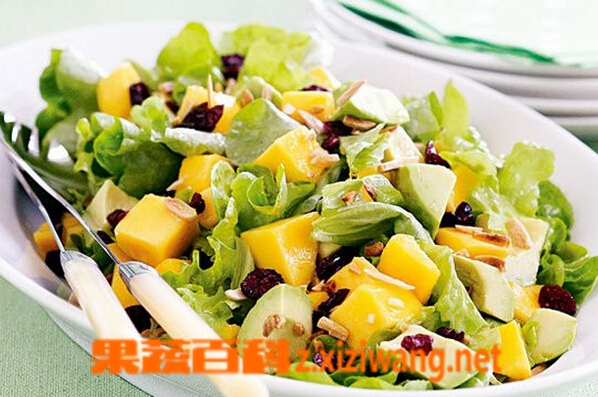 鳄梨是什么 鳄梨怎么吃好