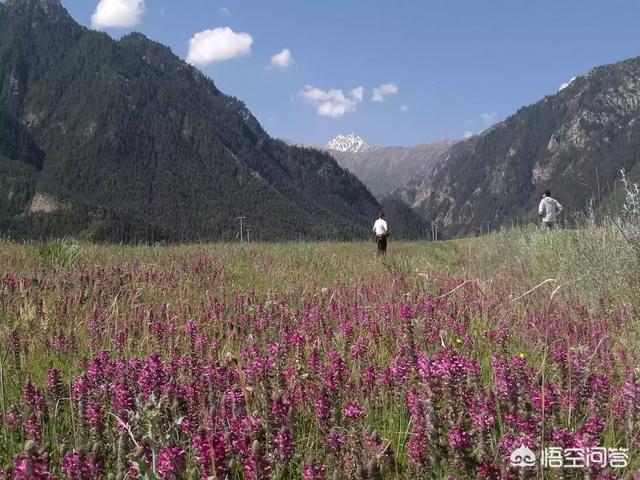 青海、新疆、西藏、西部,旅游首选去哪里?