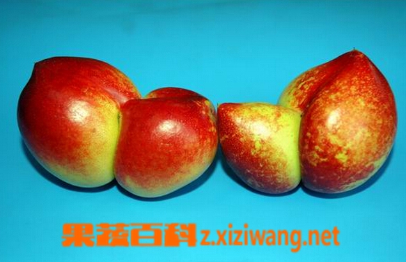 畸形水果的功效与作用