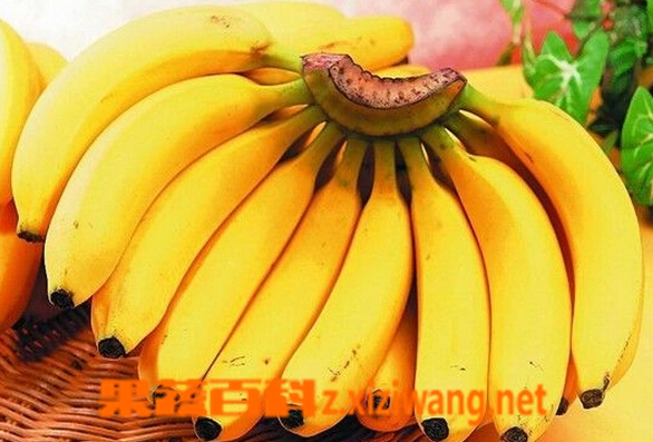 孕妇吃香蕉的好处
