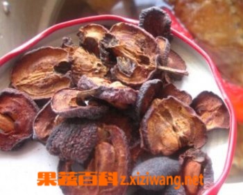 焦山楂的功效与作用