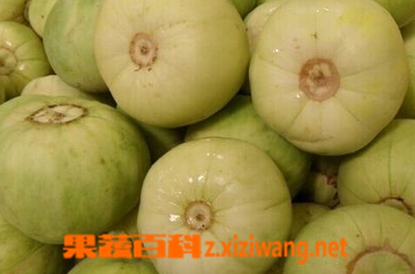 怎么挑選香瓜 挑香瓜的方法技巧