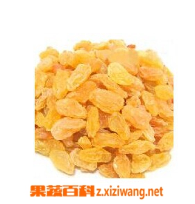 红提葡萄干营养价值