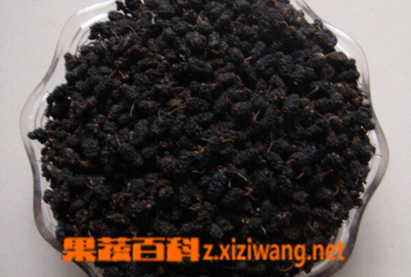 桑葚干怎么吃 桑葚干的功效与作用