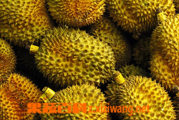在超市买榴莲如何挑选