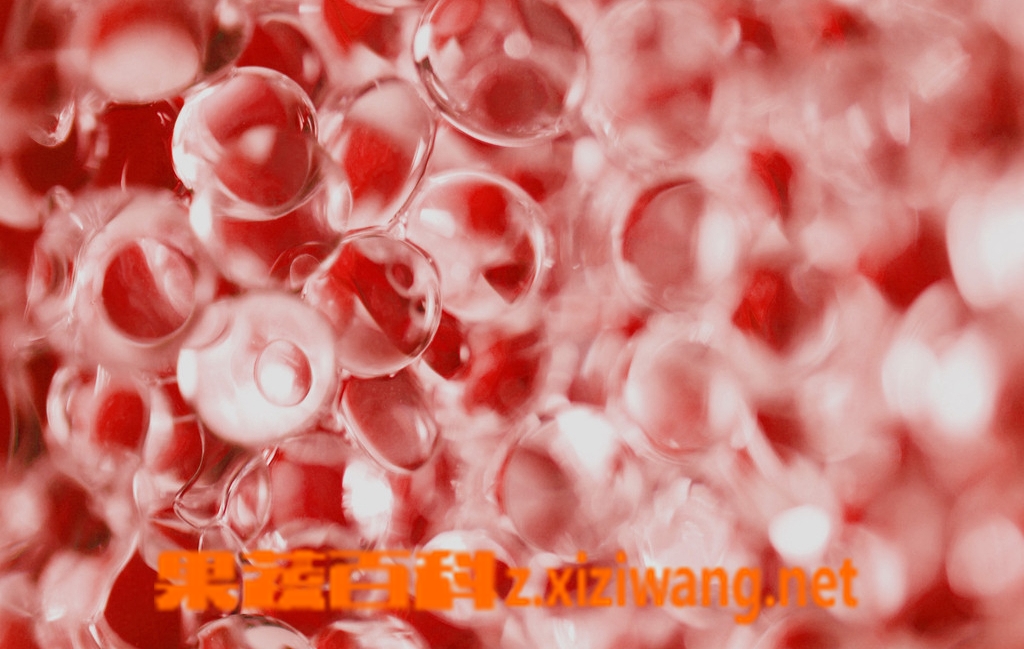 石榴籽有什么营养价值