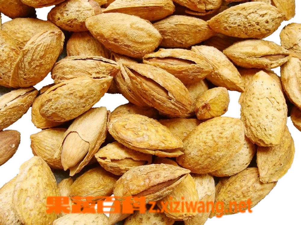 杏仁吃多了会怎么样 杏仁的功效有哪些