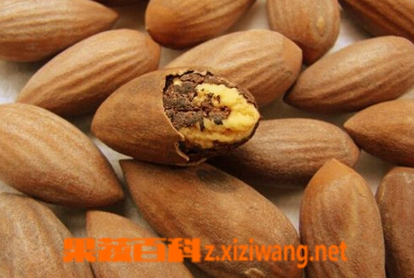 香榧是什么 香榧的功效与作用